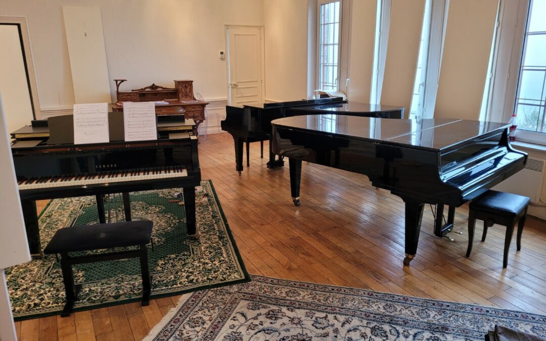 Déménagement de piano à Metz : des experts pour transporter vos objets